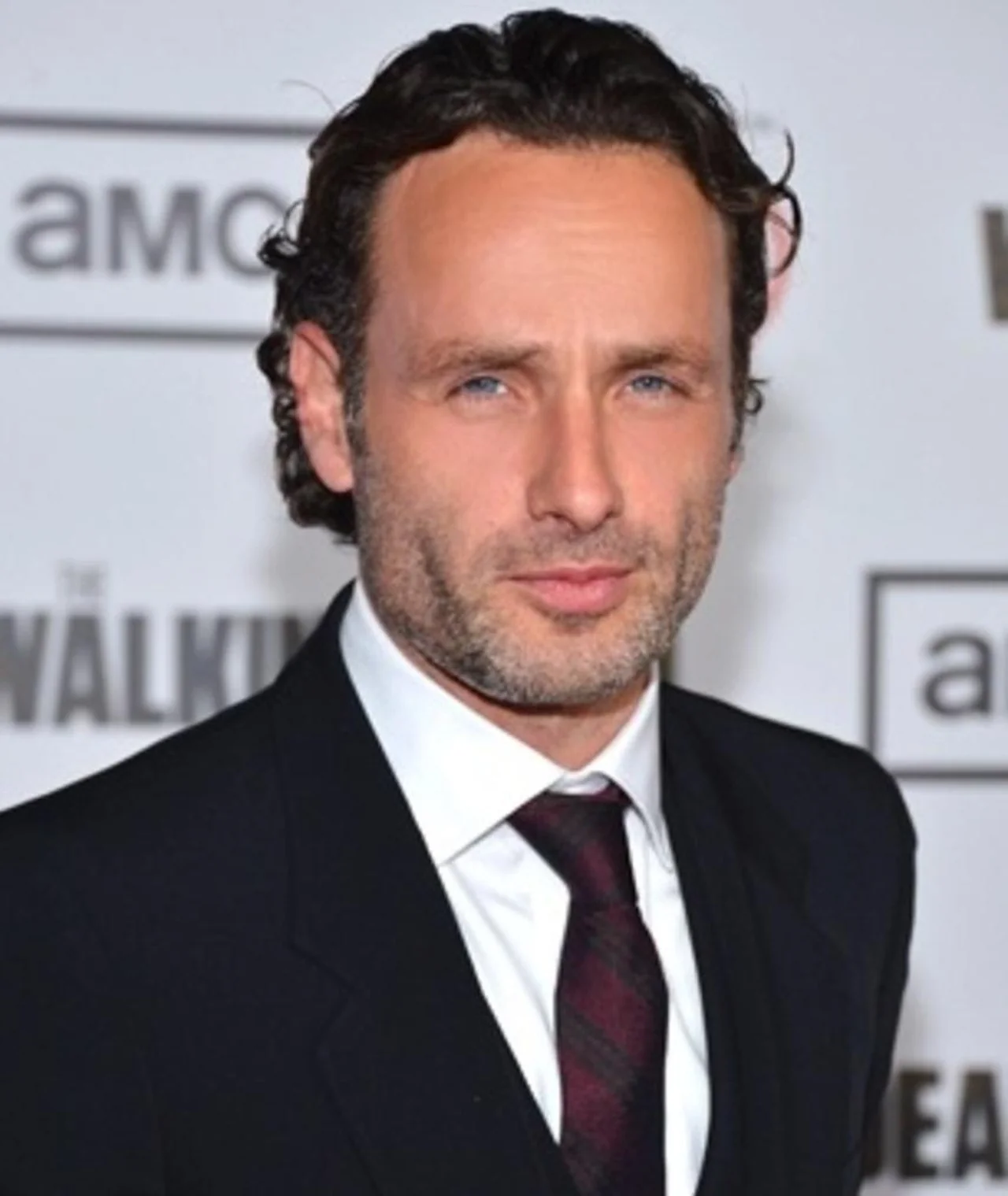 andrew-lincoln net worth