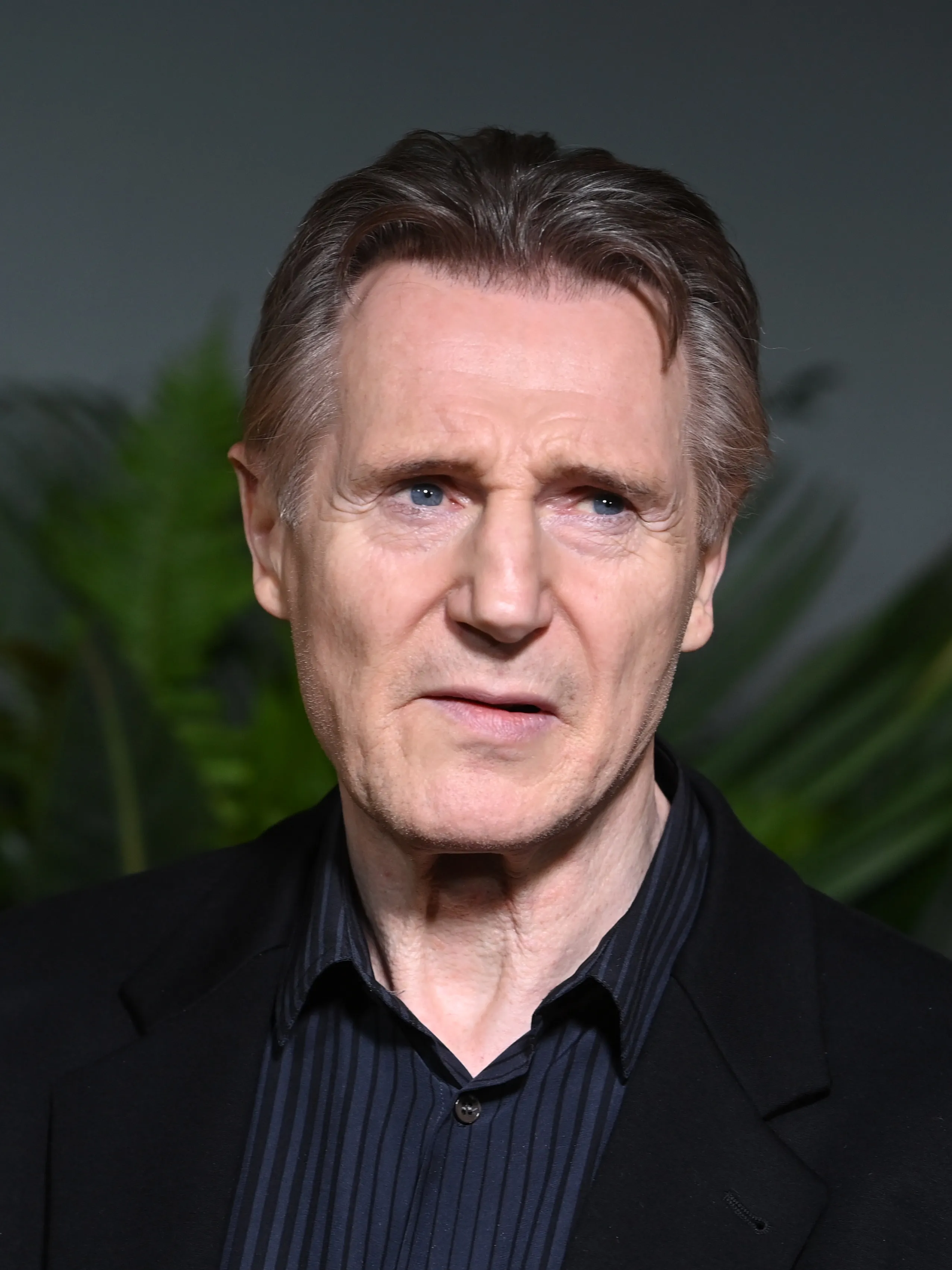 Liam Neeson Net Worth 🚀 AIOVEL